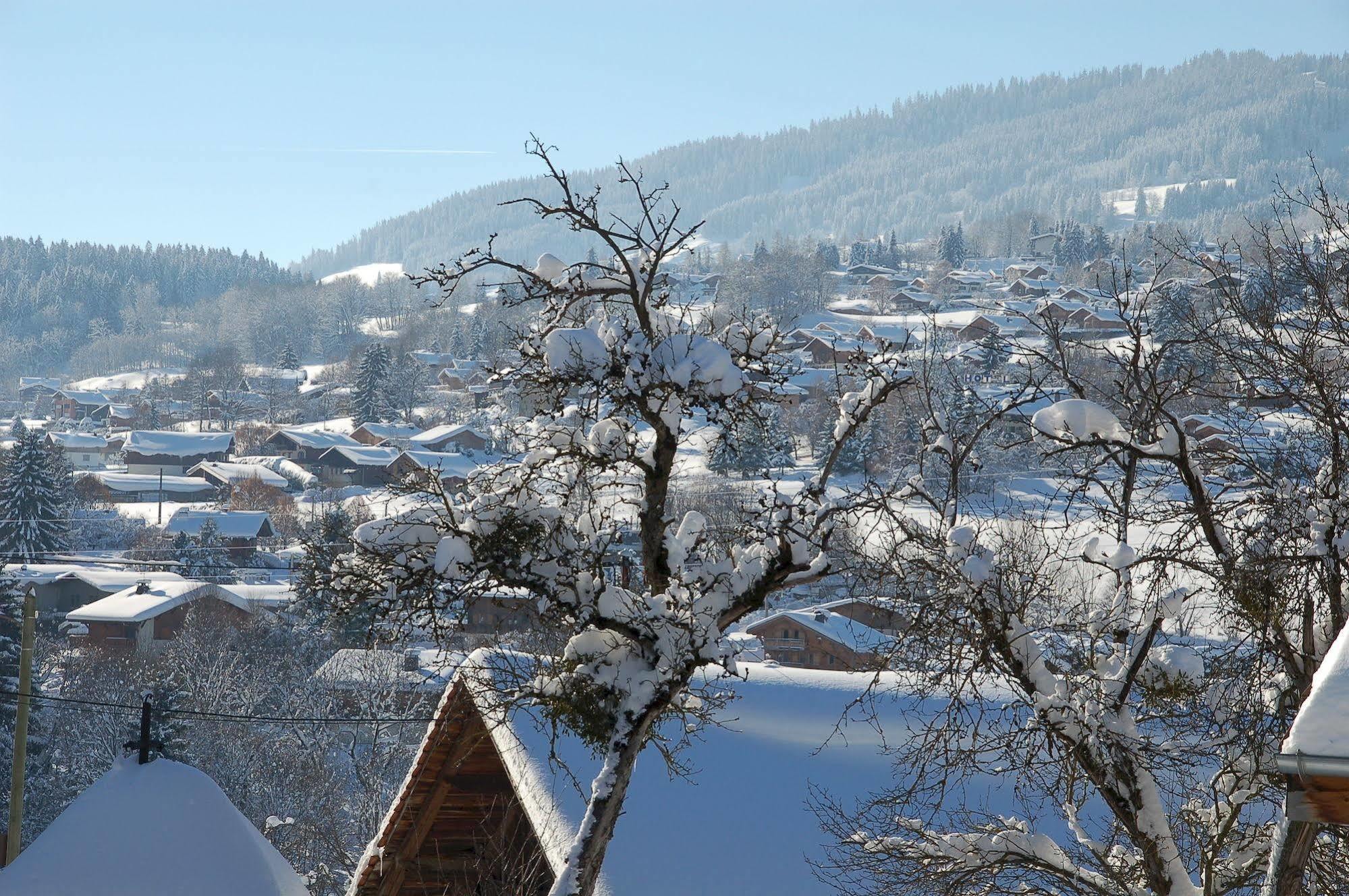 Hotel Le Caprice Des Neiges Комблу Екстер'єр фото